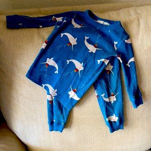 Hanna Andersson Narwhal Pajamas